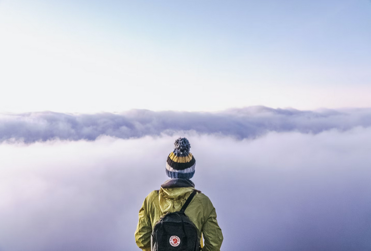 traveler